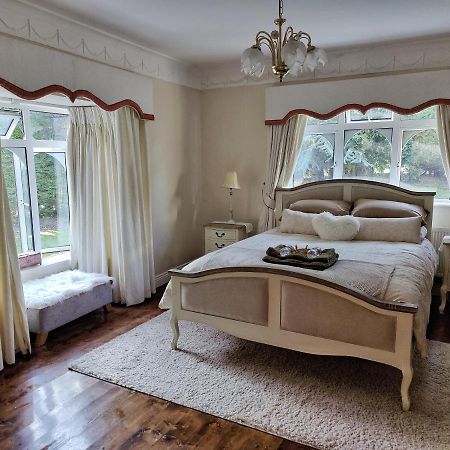 Rooms At Ballysax House The Curragh Buitenkant foto