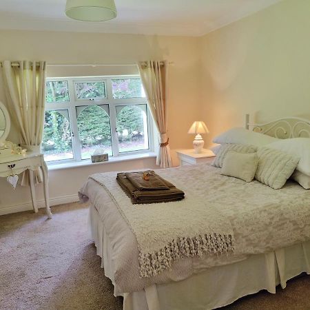 Rooms At Ballysax House The Curragh Buitenkant foto